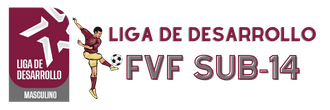 Liga de Desarrollo Masculino FVF Sub-14